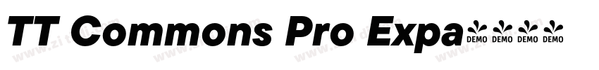 TT Commons Pro Expa字体转换